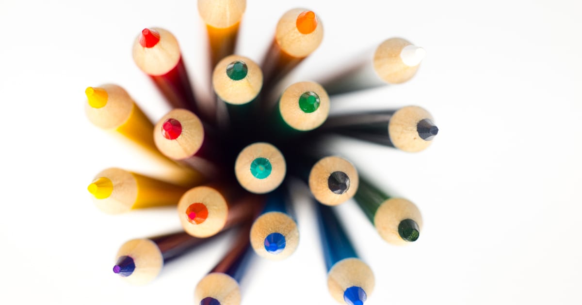 WordPress Developer vs Custom Web Development: What's the Difference?